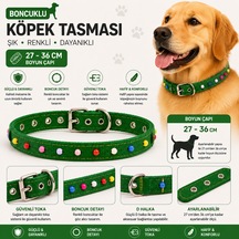 Boncuklu Köpek Boyun Tasması 27-36 Cm Ayarlanabilir Metal Tokalı D Halkalı - Yeşil Çok Renkli
