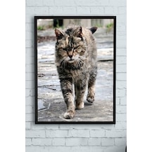 Pster11548 Kedi Hayvan Çerçeveli Tablo 3 30 X 40cm 7/8 Yaş
