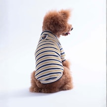Sarı Marseille Softline Çizgili Kedi Köpek Sweati Köpek Kıyafeti Kedi Kıyafeti