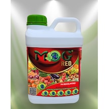 5 LT