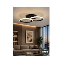 3 Renk Daire Hol Plafonyer Avize Siyah Modern Tavan Aydınlatması Salon, Mutfak, Antre & Çocuk Odası