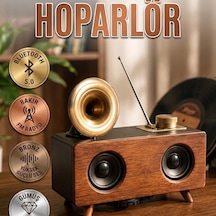 Nostaljik Gramofon Tasarımlı Bluetooth Stereo Speaker Çift Hoparlörlü 3d Ses Sistemi