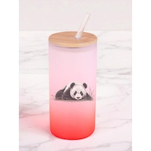 Yerde Panda Baskılı 600 Ml Cam Matara- Su Matarası, Suluk Matara, Cam Pipetli Matara Kırmızı