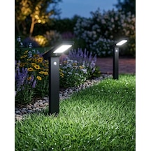 Led
