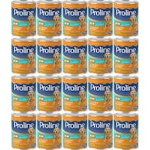 Pro Line Kuzu Etli ve Bal Kabaklı Yetişkin Köpek Konservesi 20 x 395 G