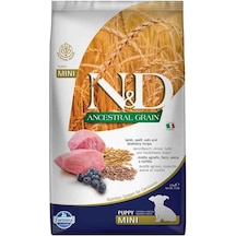 N&d Ancestral Grain Kuru Köpek Maması, Kuzu, Kılçıksız Buğday, Yulaf Ve Yabanmersinli, Yavru Köpek Mini, 2.5 Kg 103 Ivory