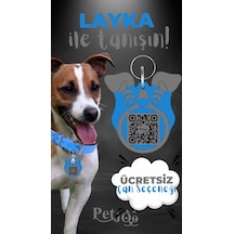 Petjoo 22.Layka Gri-Mavi Qr'lı Köpek Künyesi