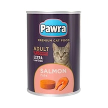 Yetişkin Kedi Somon Etli Pate Konserve 400 Gr