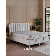 Viscopratic Tek Kişilik Yatak Baza Başlık Seti 140 X 200 140 x 200 CM