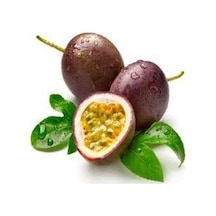 15 Adet Tohum Organik Hobi Bahçe Tutku Meyvesi Tohumu Saksı Topra