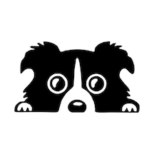 Komik Bakmak Pug Yavru Köpek Sticker Yapıştırma 2