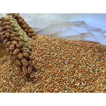 Dal Darıdan Elenmiş Kızıl Darı 500 G