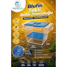Akvaryum Tekli Yavruluk - Kolay Kurulum - Şeffaf Yapı - Mavi Kapak