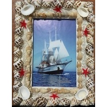Hedies Deniz Kabuğu Çerçeve 10X15 Cm
