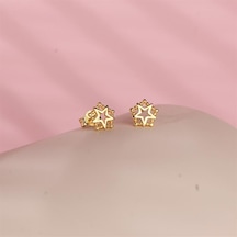 Goldkupe 14 Ayar Altın Yıldız Küpe 1,22 Gr-2185