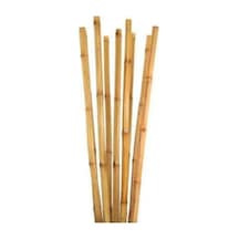 Bambu Bitki Destek Çubuğu 105 Cm 10 Adet