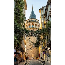 Çok Renkli