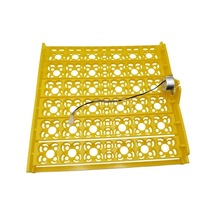 Pazly Suntek Motor Kümes Kuluçka Hayvanları Dc Cihazı Çiftliği Jn