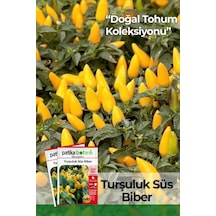 200 Adet Turşuluk Süs Biberi