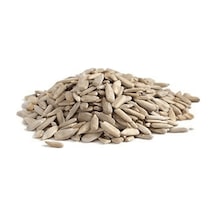 Dr. Gusto Ay Çekirdeği İçi 1 KG