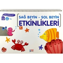 6 Yaş Sağ Beyin - Sol Beyin Etkinlikleri Minik Ada