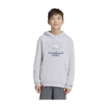 Adidas Çocuk Sweatshirt K Mc Mt Hoodıe Kd8750 Gri