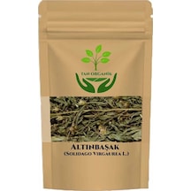 Altınbaşak Andız Otu Solidago Virgaurea L. 100gr