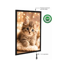 Magneco Ledbox Tek Taraflı Işıklı Çerçeve B2