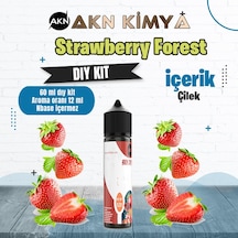Strawberry Forest Dıy Kit Çilek Gıda Aroması %20 Oranda Aroma İçerir Hazır Değildir 60 Ml