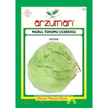 Arzuman Iceberg Marul Tohumu 5 G