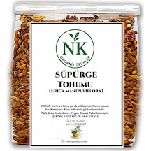 Süpürge Tohum 50gr
