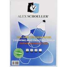 Alex Schoeller 25x35 CM Resim Kağıdı 100’lü
