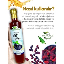 Dut Sirkesi 500 Ml 2'li Paket - Organik Doğal Fermantasyon