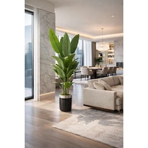 Starliçe 180 Cm Lux Metal Saksı Dahıl Yeşil