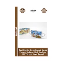 Çok Renkli