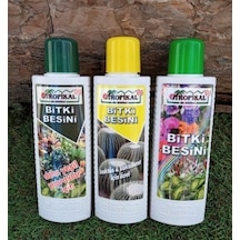 Bitki Besini 3' lü Set Genel Bitki Besini Kaktüs Sukulent Besini
