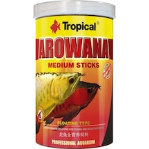 Tropical Arowana Medium Sticks Genç Arowanalar İçin Renklendirici
