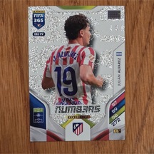 2026 Julian Alvarez Excellence Numbers Oyun Kartı Exc19
