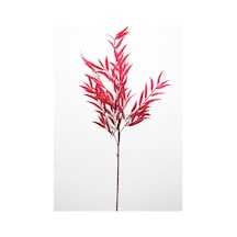 Yapay Retro Söğüt Dalı 85 Cm Bordo