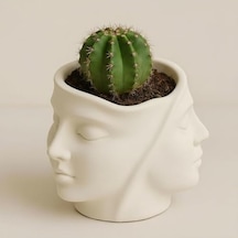 Dekoratif Yüz Saksı Taş Tozu Sukulent Saksısı, Modern Minimalist Masa Dekoru, El Yapımı Sukulent Saksı, Kalemlik & Makyaj Fırçası Organizer, 11 Cm
