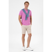 U.s. Polo Assn. Erkek Taş Şort / Bermuda 50299183-vr049 Tas