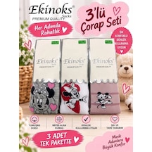 Ekinoks Socks Ekinoks Sekata Karakter Desenli Koton %100 Pamuk 3lü Kilotlu Çocuk Çorabı 1-4 Yaş 3372 Renkli