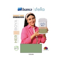 Stella Su Bazlı Akrilik Boya Rengarenk Diğer