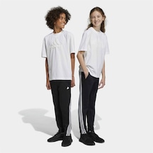 Adidas Future Icons 3-stripes Ankle Lenght Çocuk Eşofman Altı 001
