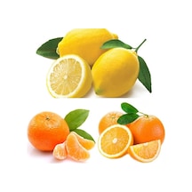 3'lü Narenciye Fidanı Paketi Limon Portakal Mandalin