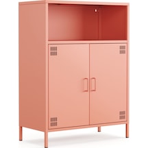 Ral 3022 Somon