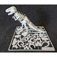 T-rex İskelet Kit Kart