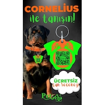 Petjoo 20.Cornelius Yeşil-Turuncu Qr'lı Köpek Künyesi
