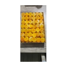Sarı Kayısı 1 Kg Diğer