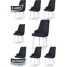 Canisa Trex Serisi, 1.sınıf Babyface Kumaş, Beyaz Metal Ayak, 8 Adet Antrasit Sandalye, Sandalye Antrasit Ayakları Beyaz